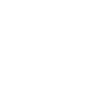 网站公告